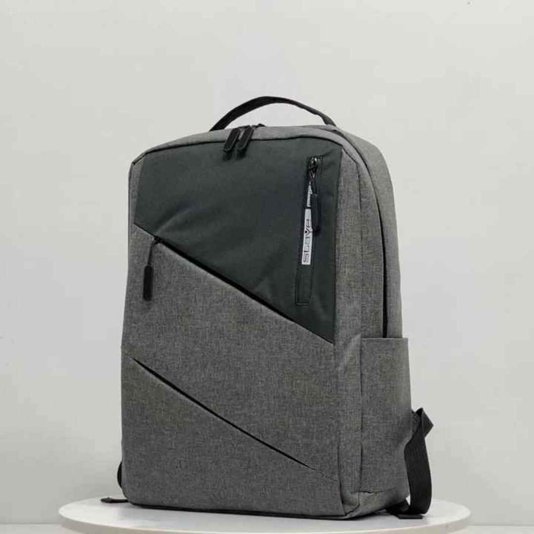 Roamer Casual Backpack